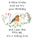 Bird Birthday Card